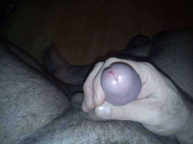 DSC_0202.jpg - janowski2014