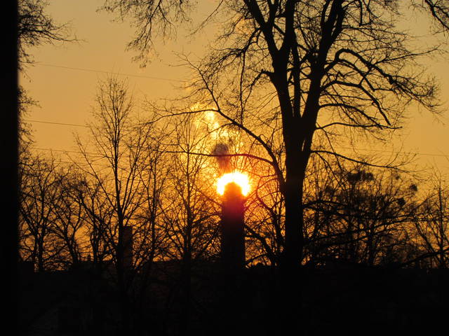 poranek... - wodnik50