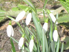 naprawdę zbliża się....