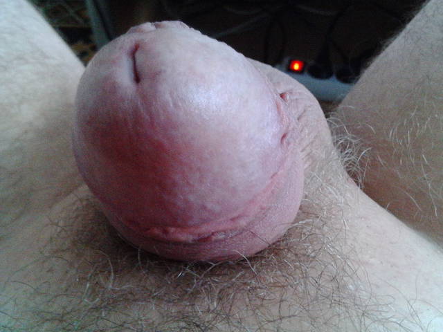 IMG_20150222_124354.jpg - lizalek73