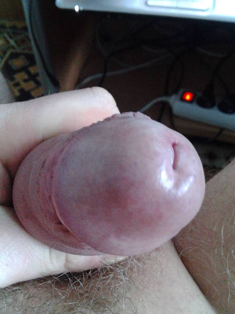 IMG_20150222_124531.jpg - lizalek73