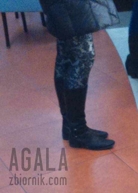DSC_907L.jpg - AGALA