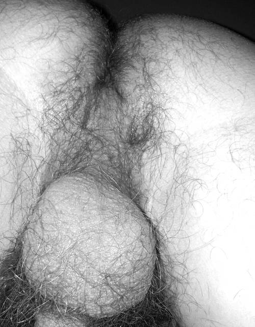 owłosione podwozie  - roma4444