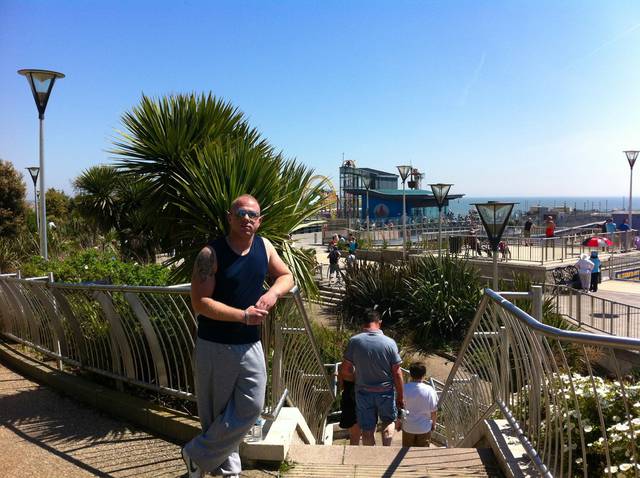 472313_395221943853884_906066682_o.jpg - zmazik17