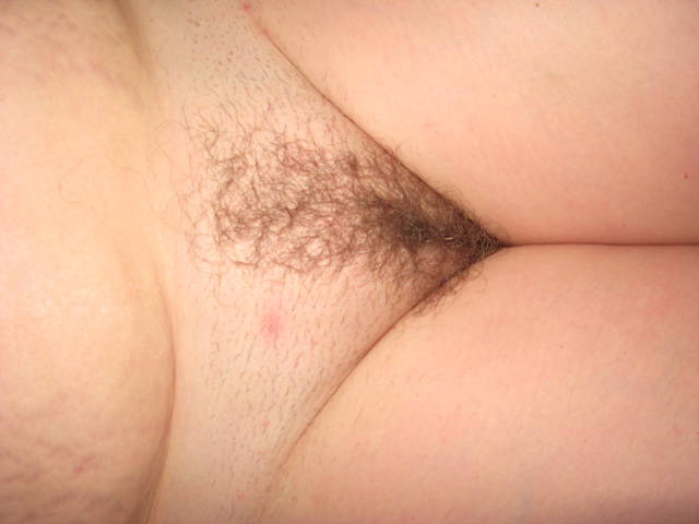 IMG_4564.JPG - dajmiewo