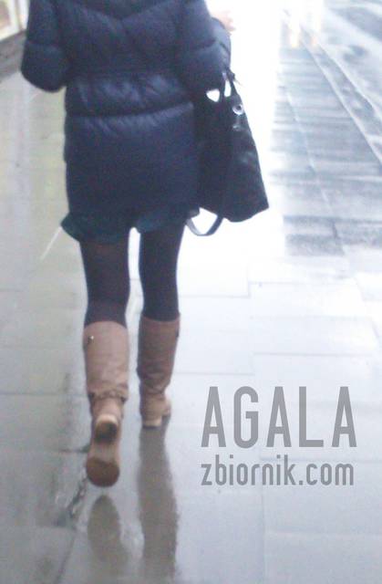 DSC_0814cz.jpg - AGALA