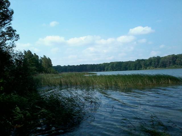 Zdjęcie0082.jpg - Hard_Rock_Cafe