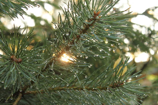 IMG_5510_zmien rozmiary.JPG - Xpress