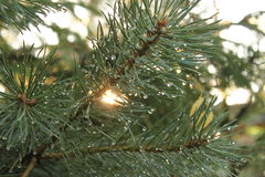 IMG_5510_zmien rozmiary.JPG