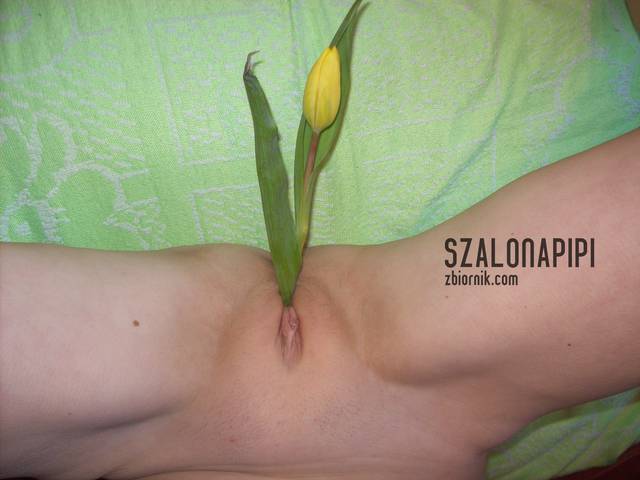 100_1560.JPG - szalonapipi