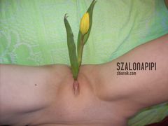 100_1560.JPG