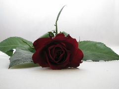 IMG_6759.JPG