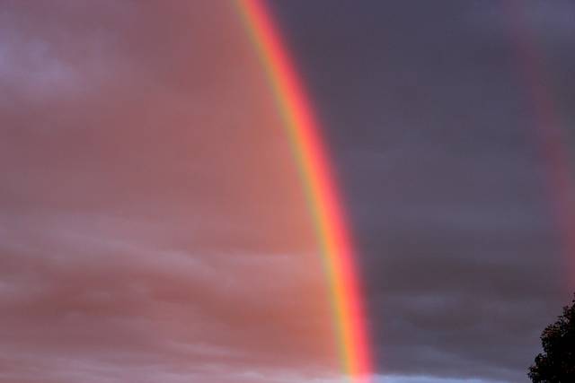 tęcza... - adams7