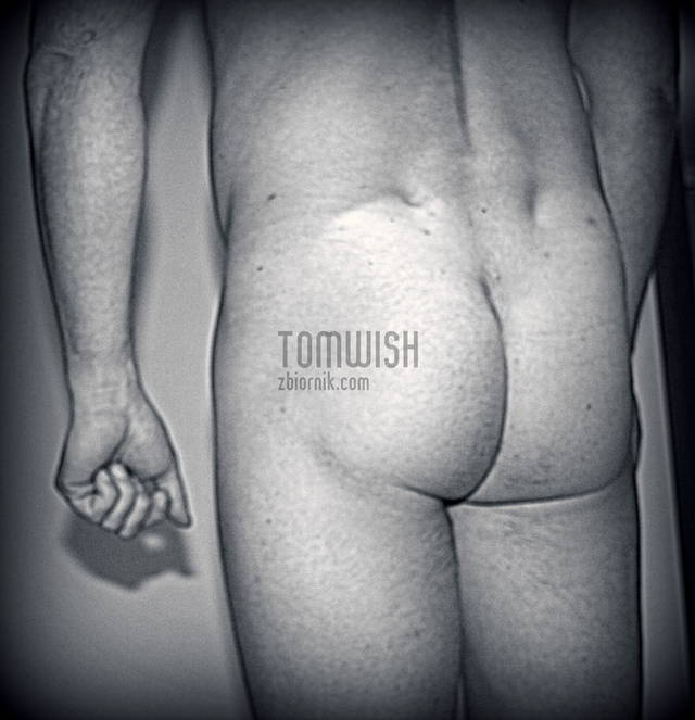 tomwish