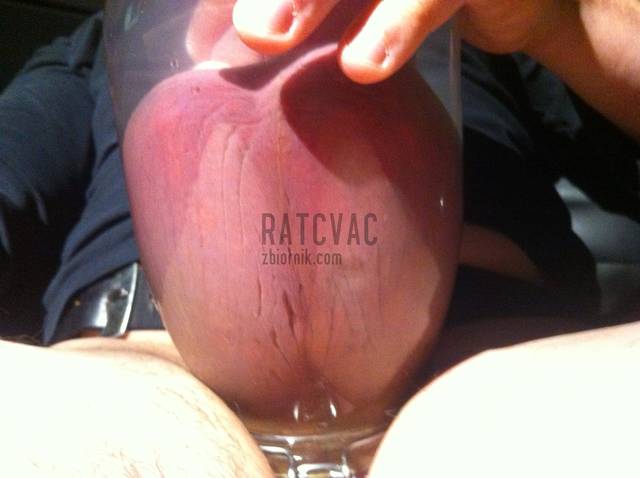 IMG_3368.JPG - RATCVAC