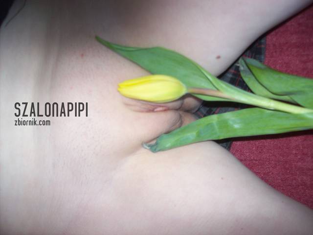 100_1557.JPG - szalonapipi