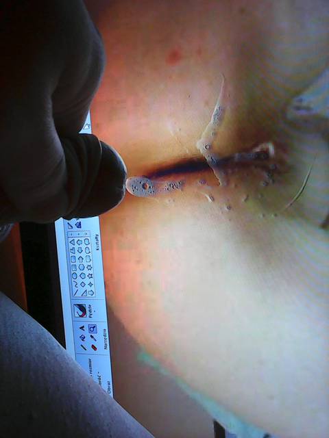 Photo0073.jpg - robercu