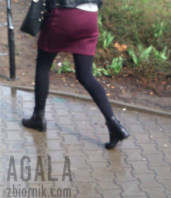 DSC_0902cz.jpg - AGALA