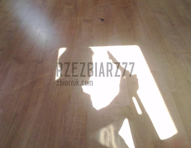 Zdjęcie0780_001.jpg - rzezbiarz77