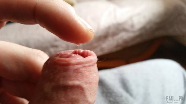 Widac że mokry :) - Paul_pk