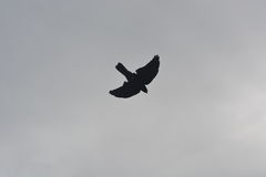 DSC_0741.JPG