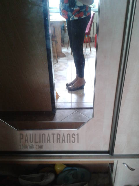 2015-04-08 13.42.53.jpg - paulinatrans1