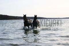 Uchwycone dzisiejsze Piękno