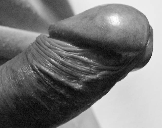 P1120561.JPG - manold