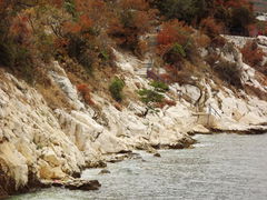DSCF0179.JPG