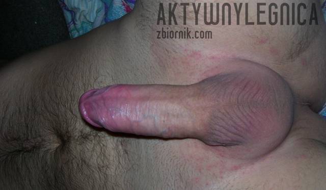 100_0361.JPG - aktywnylegnica