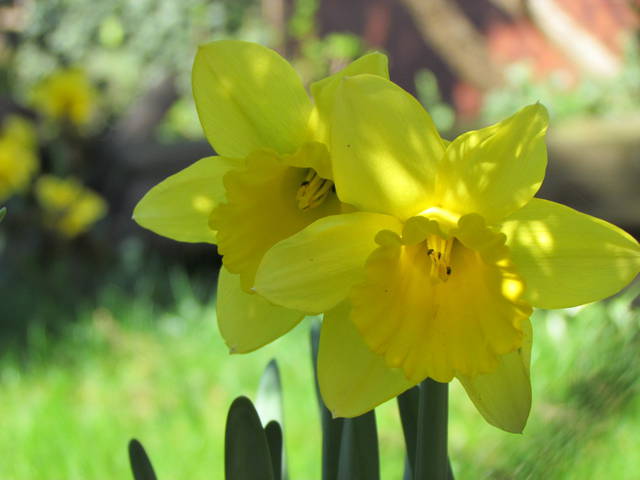 w słonecznym.... - wodnik50