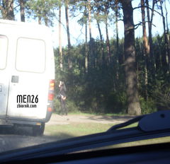 leśny ssak ma klienta :)