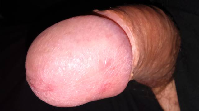 DSC_0017.JPG - inseminator2