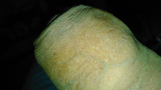 DSC_0008.JPG - swistt