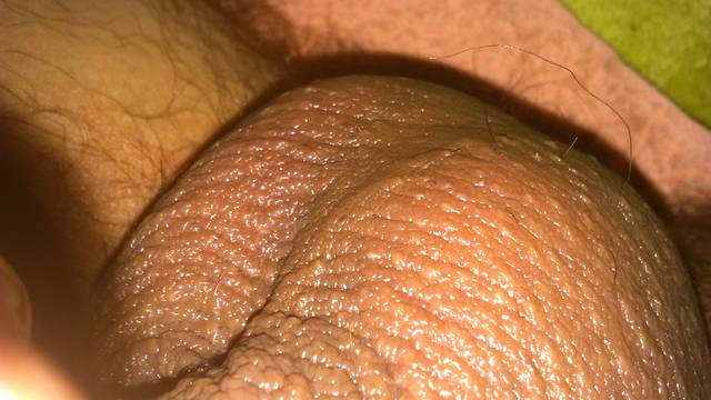 DSC_0029.JPG - swistt