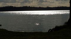 Wiosna przyszła - lato idzie