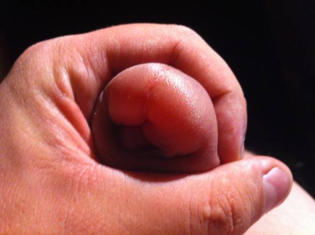 IMG_1111.JPG - RATCVAC