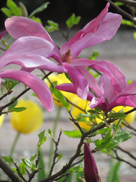 pełen.... - wodnik50