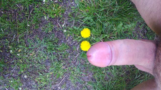 przyszła wiosna  - lubitranswaw