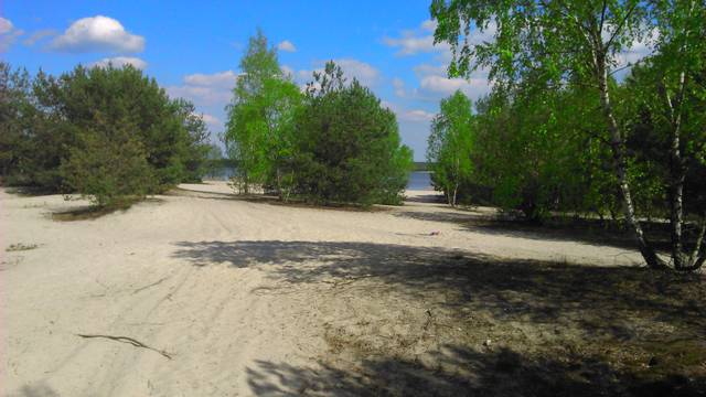 Naga plaża  - neww