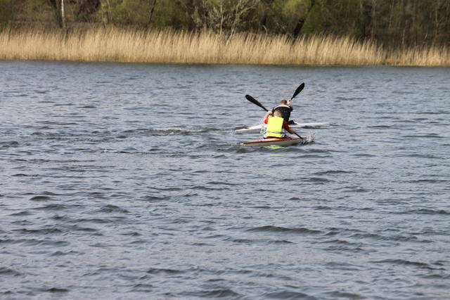 IMG_2394.JPG - ogier8585