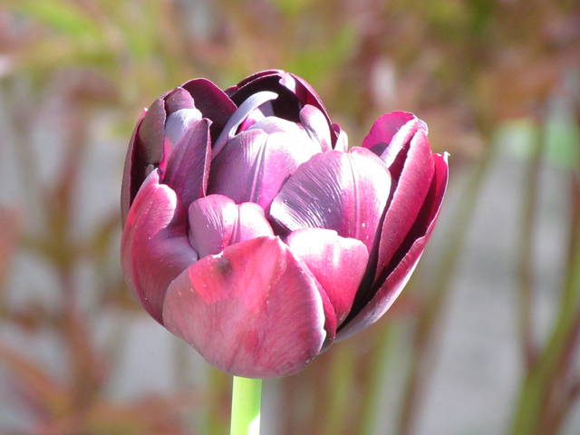 też tuli..... - wodnik50