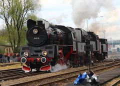 Wczorajszy Wolsztyn okiem Kicurków