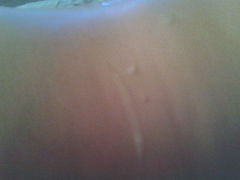 2015-04-14 19.51.33.jpg