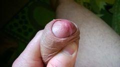 WP_20150504_009.jpg