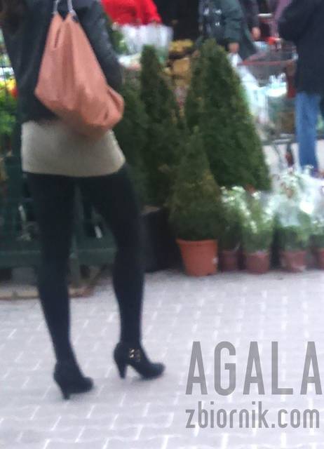 DSC1085L.jpg - AGALA