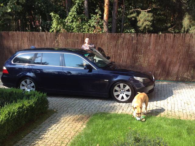 IMG_1367.JPG - kociaki1919