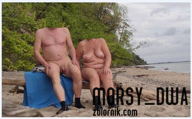 Przed kąpielą. - Morsy_dwa