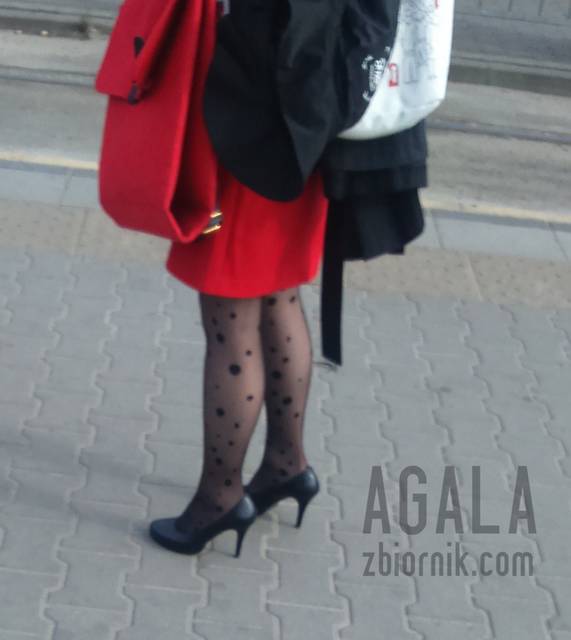 DSC_1334odj.jpg - AGALA