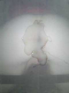 nie ma to jak dobry spust na fajna pupcie LiptonBasia